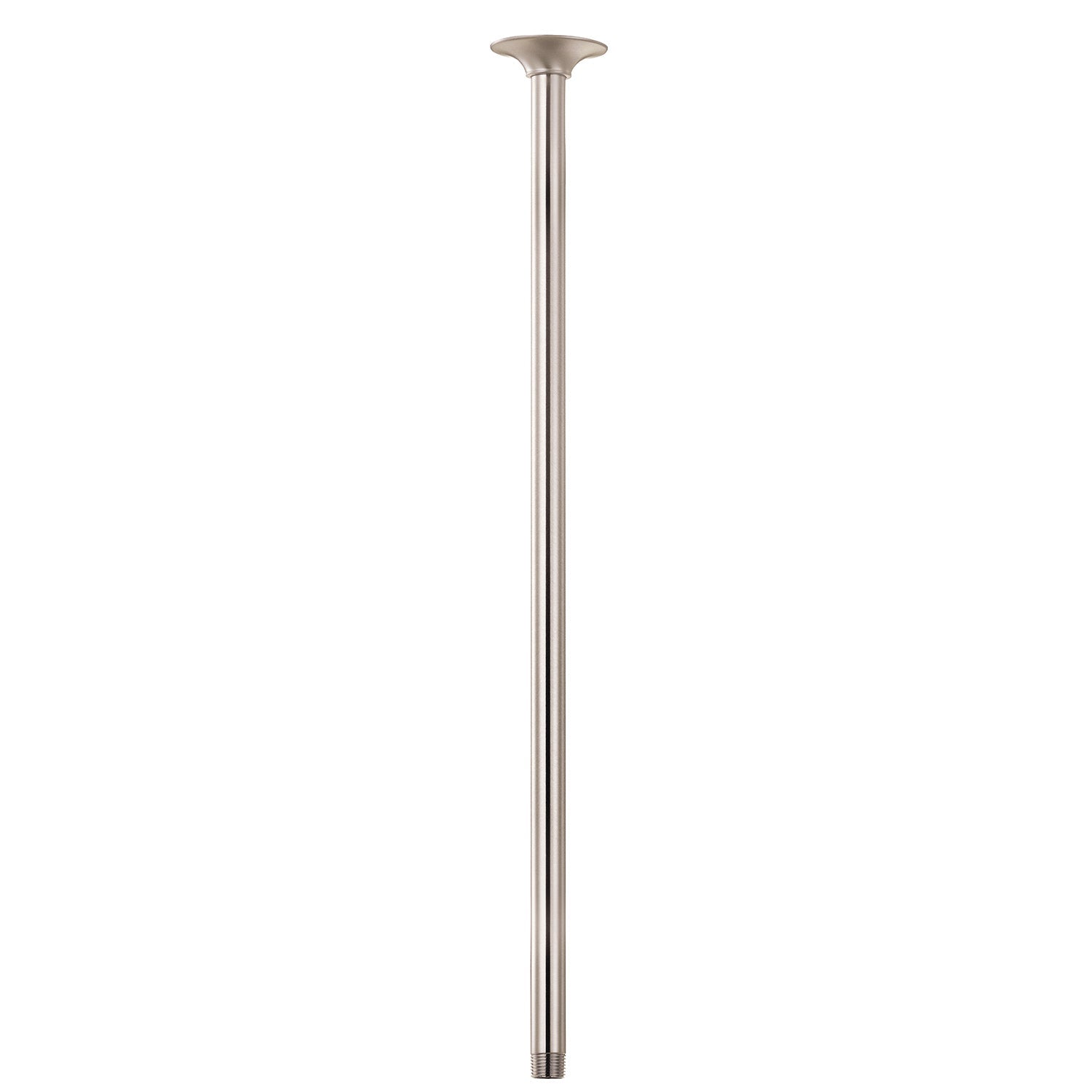 24" Ceiling Mount Showerarm w/ Escutcheon Brushed Nickel